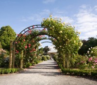Hagley Park 